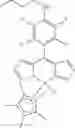 Fig. 05 - Application of dipyrrinato-iridium complexes in anti-tumor and anti-bacterial therapy