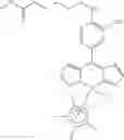 Fig. 08 - Application of dipyrrinato-iridium complexes in anti-tumor and anti-bacterial therapy