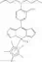 Fig. 09 - Application of dipyrrinato-iridium complexes in anti-tumor and anti-bacterial therapy