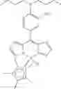 Fig. 26 - Application of dipyrrinato-iridium complexes in anti-tumor and anti-bacterial therapy
