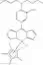 Fig. 43 - Application of dipyrrinato-iridium complexes in anti-tumor and anti-bacterial therapy
