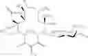 Fig. 108 - Macrolides with Modified Desosamine Sugars and Uses Thereof