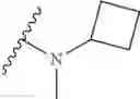 Fig. 237 - Macrolides with Modified Desosamine Sugars and Uses Thereof