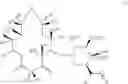 Fig. 24 - Macrolides with Modified Desosamine Sugars and Uses Thereof