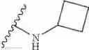 Fig. 247 - Macrolides with Modified Desosamine Sugars and Uses Thereof