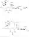 Fig. 333 - Macrolides with Modified Desosamine Sugars and Uses Thereof
