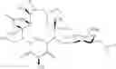 Fig. 376 - Macrolides with Modified Desosamine Sugars and Uses Thereof
