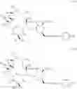 Fig. 54 - Macrolides with Modified Desosamine Sugars and Uses Thereof