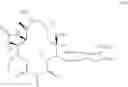 Fig. 551 - Macrolides with Modified Desosamine Sugars and Uses Thereof