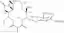 Fig. 556 - Macrolides with Modified Desosamine Sugars and Uses Thereof