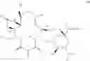Fig. 588 - Macrolides with Modified Desosamine Sugars and Uses Thereof