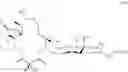 Fig. 61 - Macrolides with Modified Desosamine Sugars and Uses Thereof