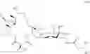 Fig. 65 - Macrolides with Modified Desosamine Sugars and Uses Thereof