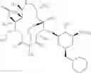 Fig. 655 - Macrolides with Modified Desosamine Sugars and Uses Thereof