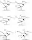 Fig. 695 - Macrolides with Modified Desosamine Sugars and Uses Thereof