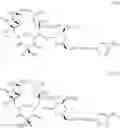 Fig. 701 - Macrolides with Modified Desosamine Sugars and Uses Thereof