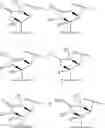 Fig. 721 - Macrolides with Modified Desosamine Sugars and Uses Thereof