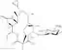 Fig. 949 - Macrolides with Modified Desosamine Sugars and Uses Thereof
