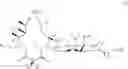 Fig. 970 - Macrolides with Modified Desosamine Sugars and Uses Thereof