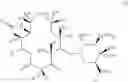 Fig. 974 - Macrolides with Modified Desosamine Sugars and Uses Thereof