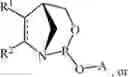Fig. 101 - Chiral phosphoramidite auxiliaries and methods of their use