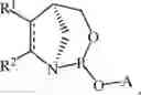 Fig. 102 - Chiral phosphoramidite auxiliaries and methods of their use