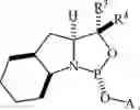 Fig. 111 - Chiral phosphoramidite auxiliaries and methods of their use