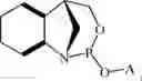 Fig. 112 - Chiral phosphoramidite auxiliaries and methods of their use