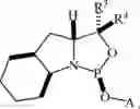 Fig. 114 - Chiral phosphoramidite auxiliaries and methods of their use