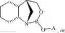 Fig. 116 - Chiral phosphoramidite auxiliaries and methods of their use
