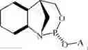 Fig. 121 - Chiral phosphoramidite auxiliaries and methods of their use