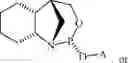 Fig. 123 - Chiral phosphoramidite auxiliaries and methods of their use