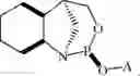Fig. 124 - Chiral phosphoramidite auxiliaries and methods of their use