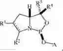 Fig. 13 - Chiral phosphoramidite auxiliaries and methods of their use