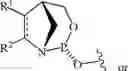 Fig. 130 - Chiral phosphoramidite auxiliaries and methods of their use