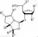 Fig. 132 - Chiral phosphoramidite auxiliaries and methods of their use