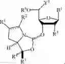 Fig. 133 - Chiral phosphoramidite auxiliaries and methods of their use