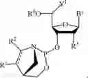 Fig. 135 - Chiral phosphoramidite auxiliaries and methods of their use