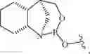 Fig. 145 - Chiral phosphoramidite auxiliaries and methods of their use