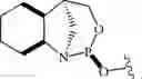 Fig. 155 - Chiral phosphoramidite auxiliaries and methods of their use