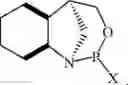 Fig. 183 - Chiral phosphoramidite auxiliaries and methods of their use