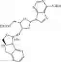 Fig. 200 - Chiral phosphoramidite auxiliaries and methods of their use