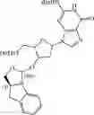 Fig. 201 - Chiral phosphoramidite auxiliaries and methods of their use
