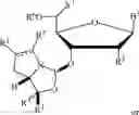 Fig. 214 - Chiral phosphoramidite auxiliaries and methods of their use
