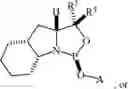 Fig. 22 - Chiral phosphoramidite auxiliaries and methods of their use