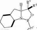 Fig. 225 - Chiral phosphoramidite auxiliaries and methods of their use
