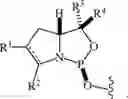 Fig. 24 - Chiral phosphoramidite auxiliaries and methods of their use