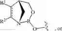 Fig. 26 - Chiral phosphoramidite auxiliaries and methods of their use