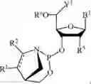 Fig. 32 - Chiral phosphoramidite auxiliaries and methods of their use