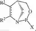 Fig. 42 - Chiral phosphoramidite auxiliaries and methods of their use